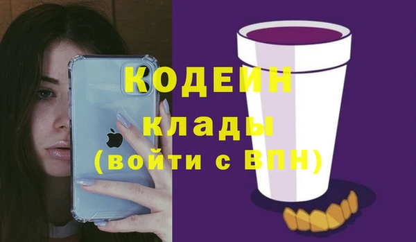 стафф Няндома
