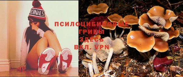 mdma Волоколамск