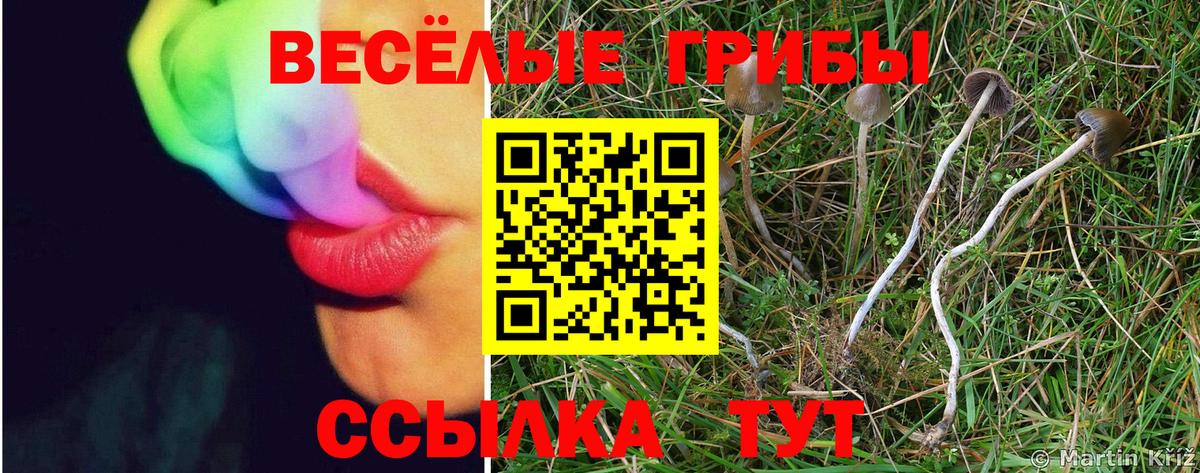 Елец  Псилоцибиновые грибы ЛСД  Вход с VPN 