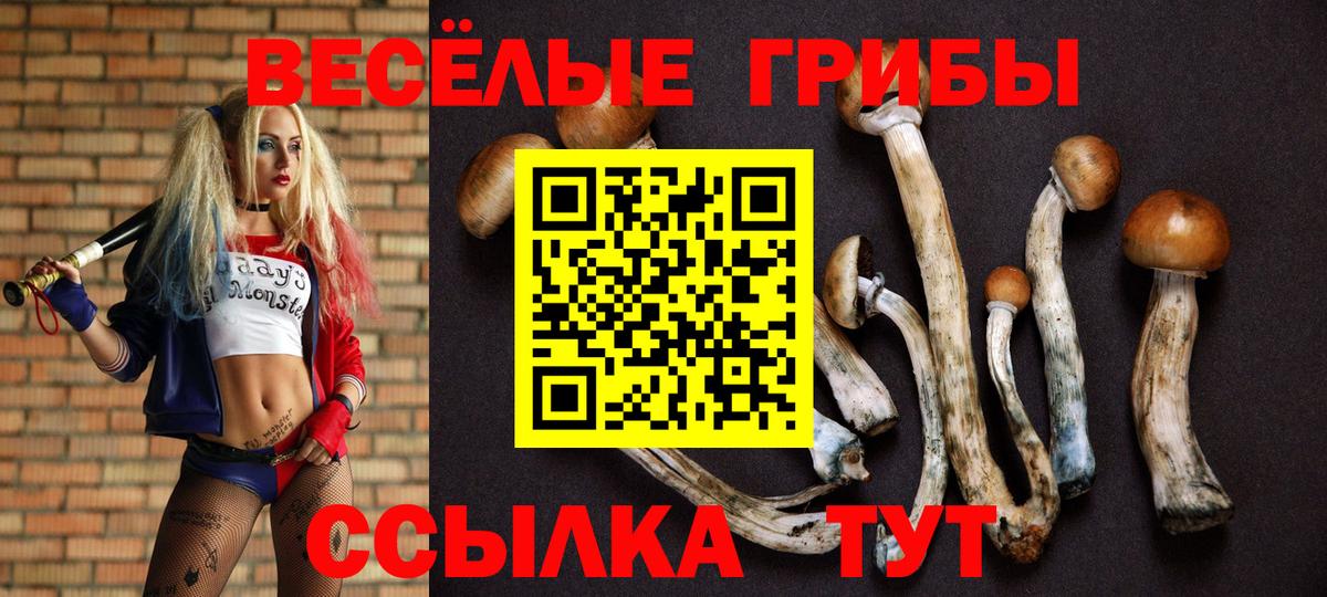 Галлюциногенные грибы мицелий Елец