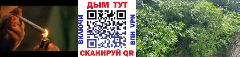 Бошки Шишки THC 21%  закладка  Елец 
